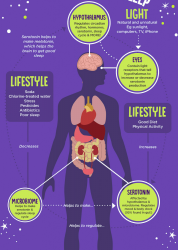 How Gut Health Affects Your Sleep