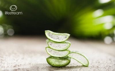 Uncovering the Health Benefits of Aloe Vera