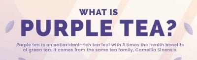 What is Purple Tea?