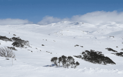 Oral Health During Winter: Problems & Care Tips